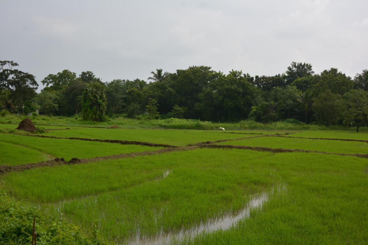Monaara Leisure - Anuradhapura Exteriör bild